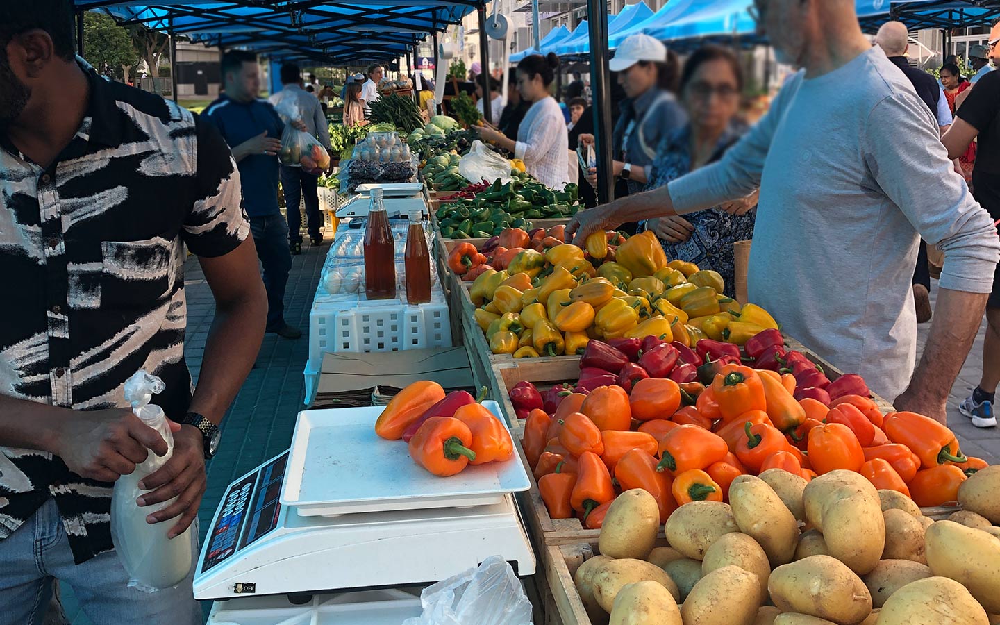 Complete Guide to Farmers’ Market at Bay Avenue MyBayut