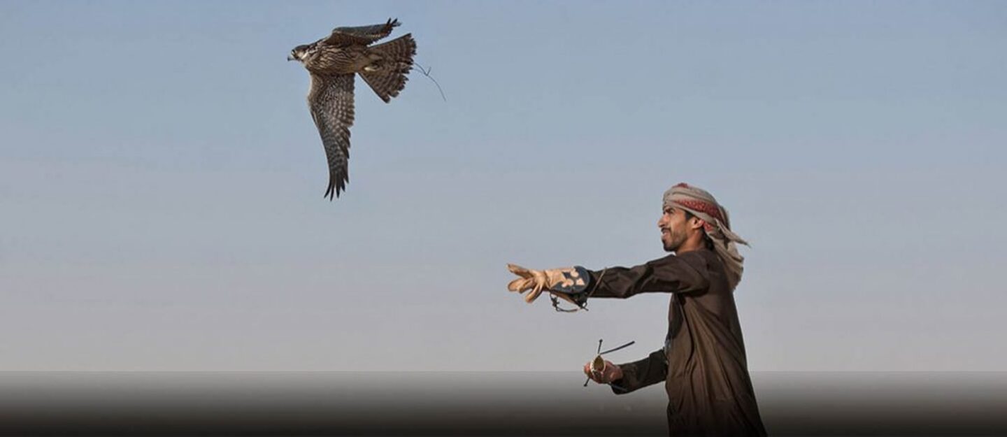 رجل مع صقر