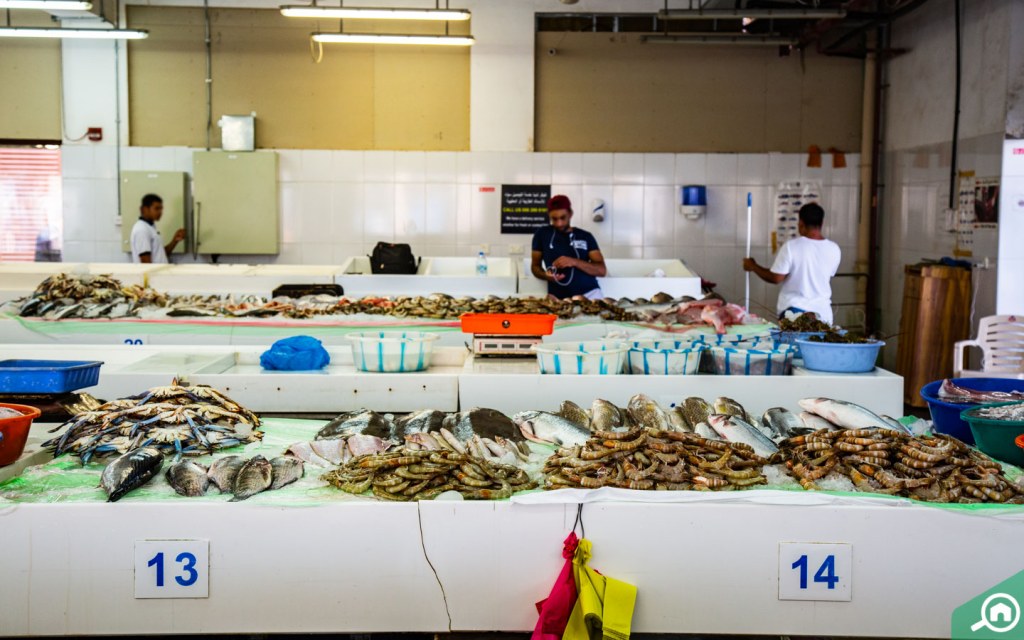 All about Jumeirah Fish Market Timings, Location & more MyBayut