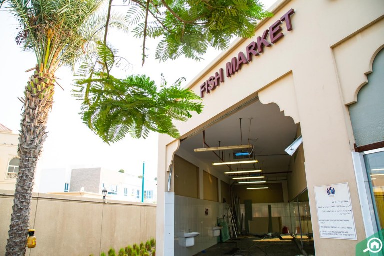 All about Jumeirah Fish Market Timings, Location & more MyBayut