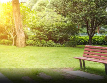 مقعد في حديقة