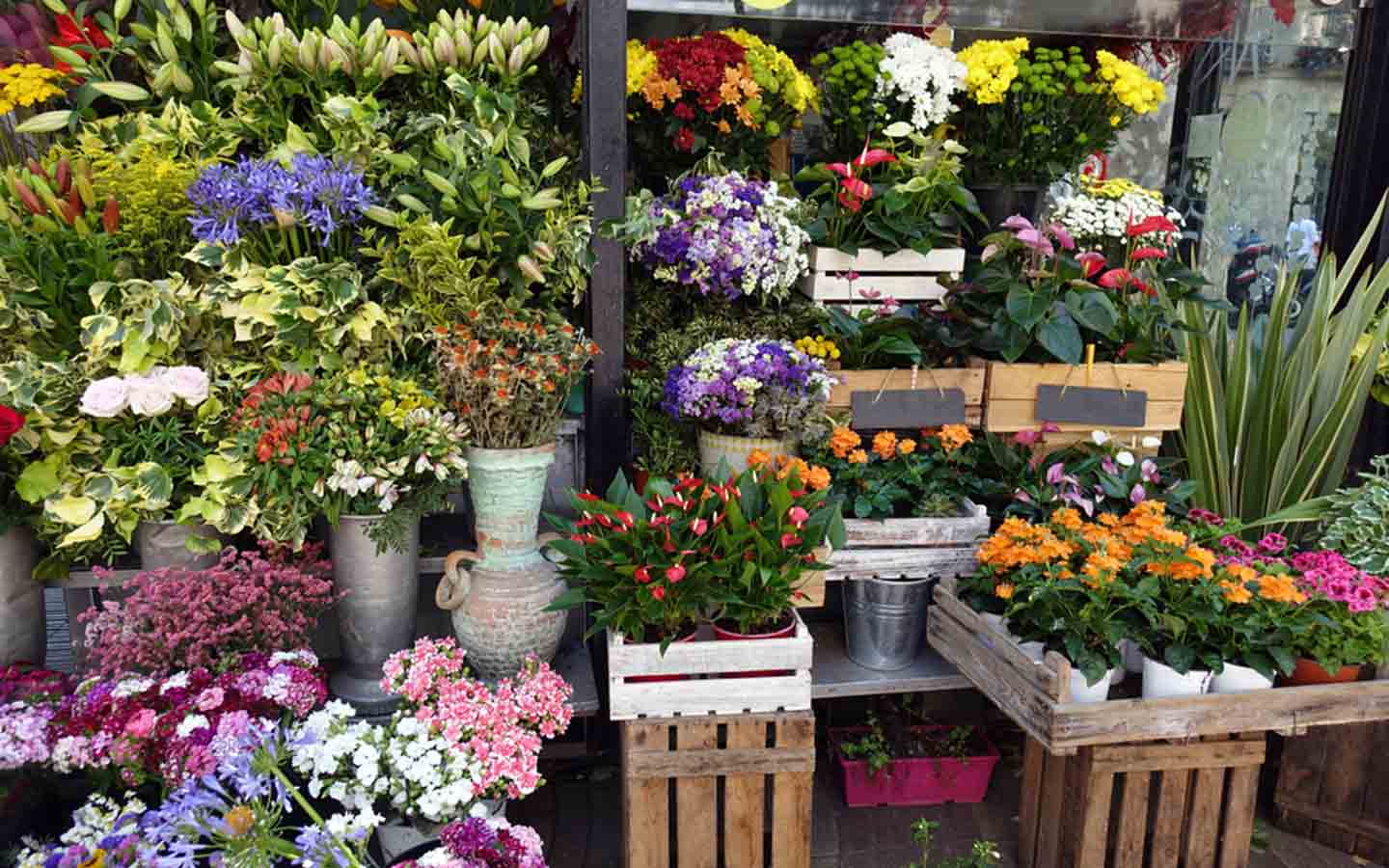 Flower Shops in Abu Dhabi Perumal, Balaji & More MyBayut