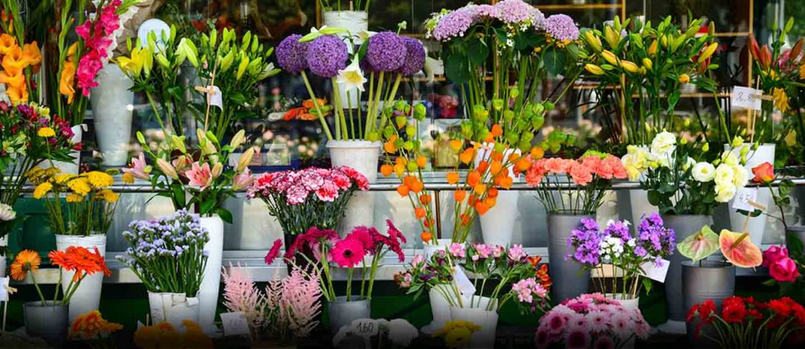 Flower Shops in Abu Dhabi Perumal, Balaji & More MyBayut