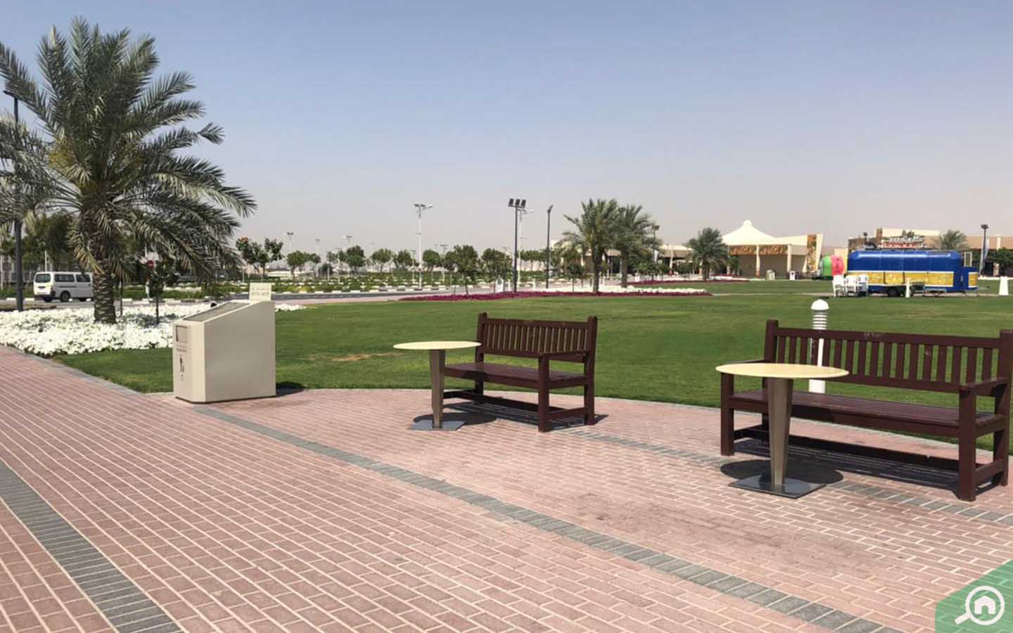 Dubai Birds and Pets Market: Shops, Clinics & More - MyBayut