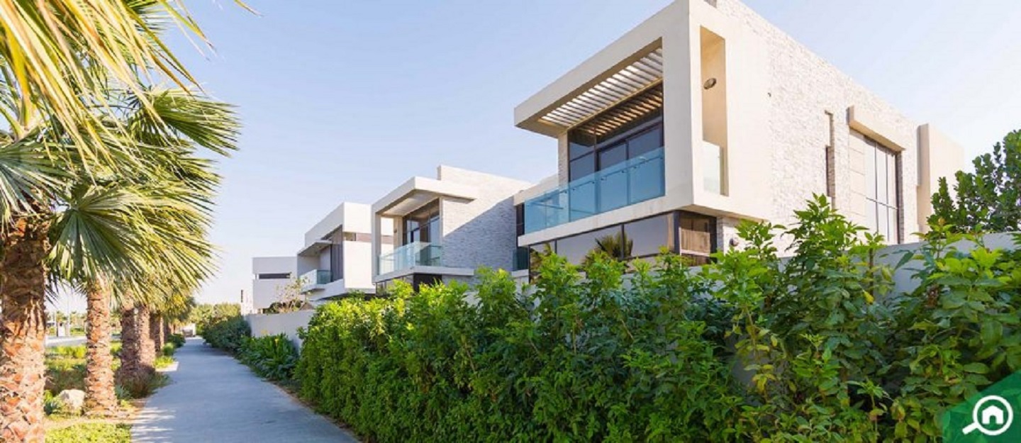 Wondering What To Do With 1 Million Dirhams In Dubai MyBayut wondering-what-to-do-with-1-million-dirhams-in-dubai-mybayut