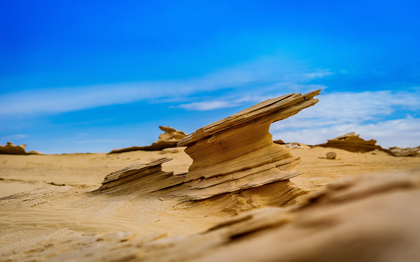Al Wathba Fossil Dunes in Abu Dhabi History, Location & More MyBayut