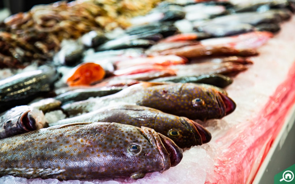 All about Jumeirah Fish Market Timings, Location & more MyBayut