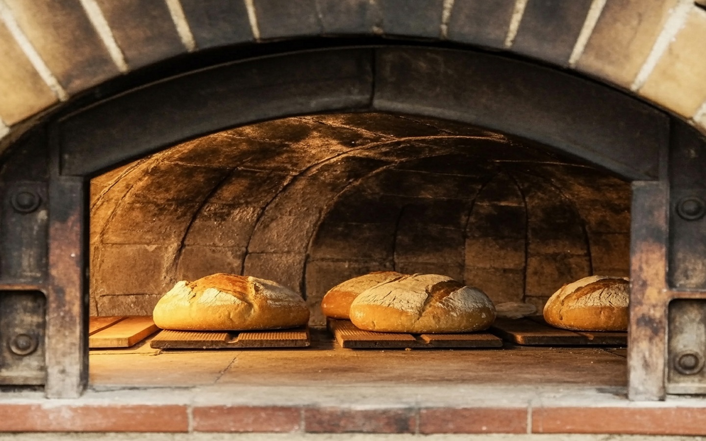 أفضل المخابز في الفجيرة