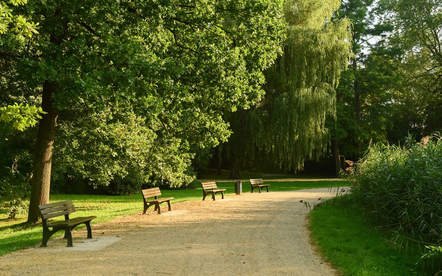 حديقة العلم من أشهر حدائق الفجيرة