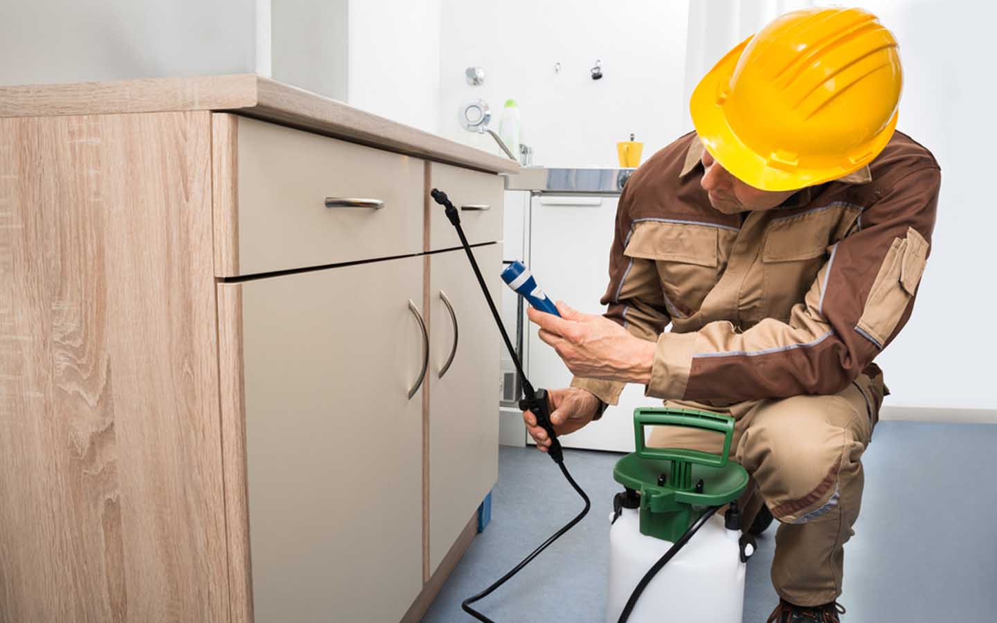 شخص يرش مبيد حشري