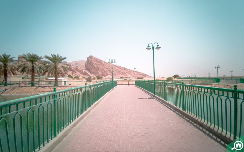 Green Mubazzarah Park in Abu Dhabi