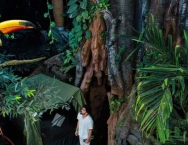 Guest enjoying green views in The Green Planet in Dubai