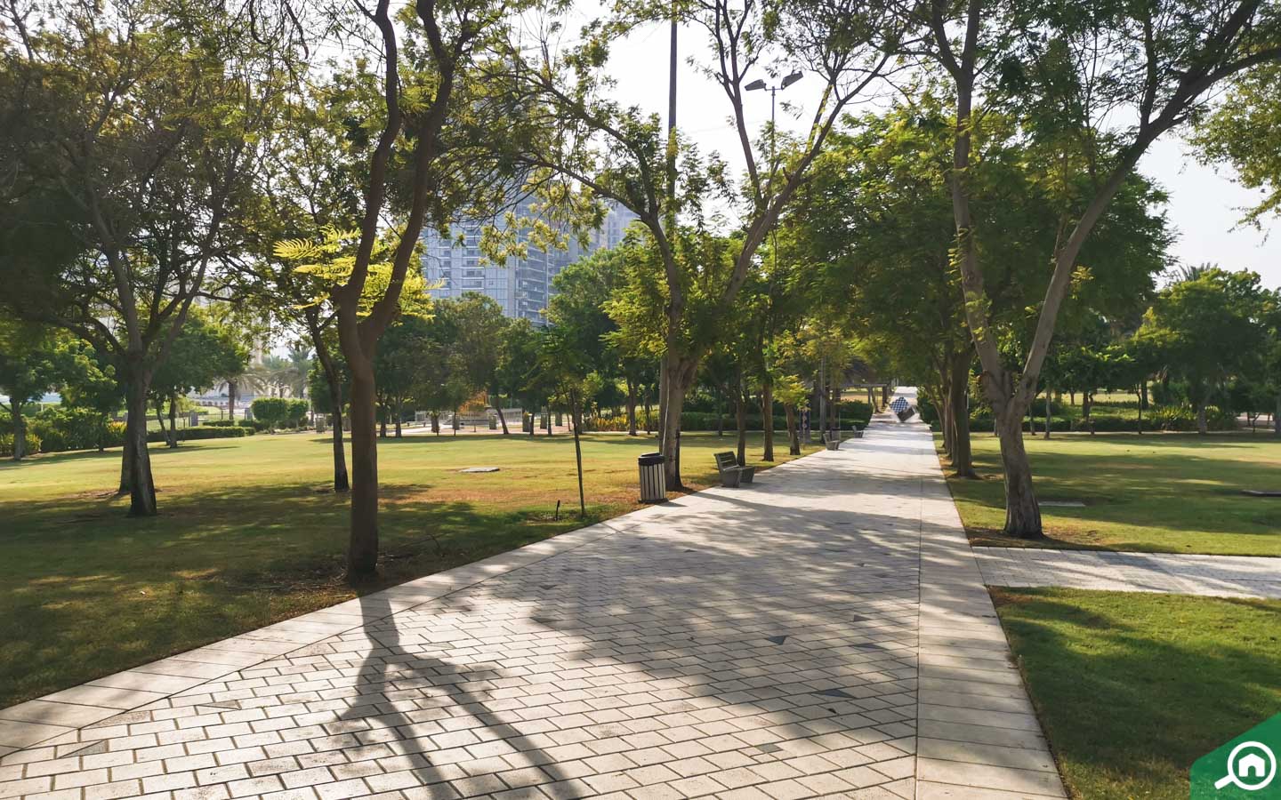 Green pathways at Zabeel park