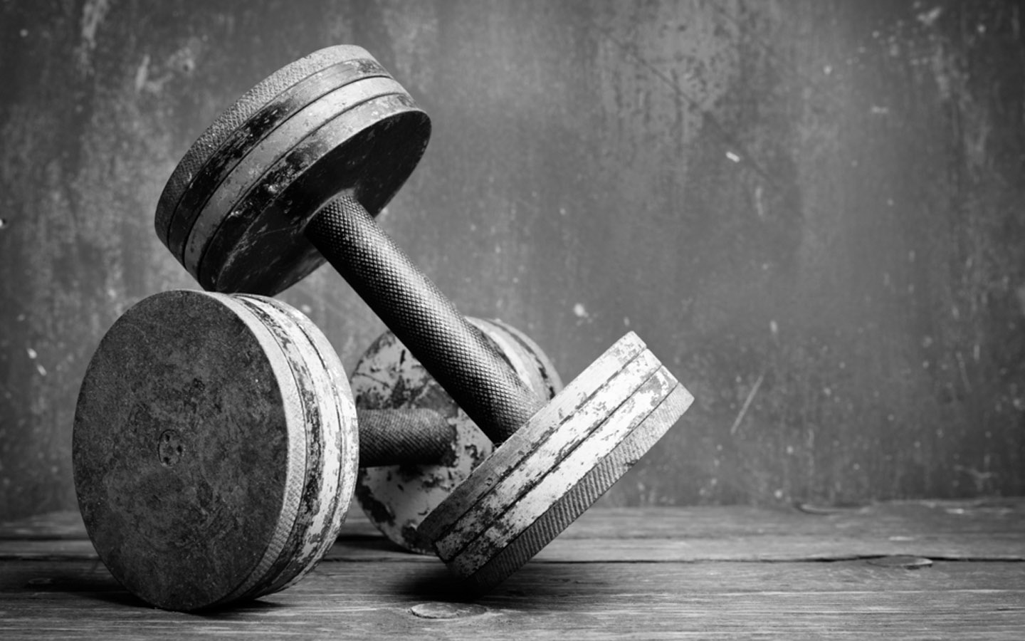 Best Gyms in Sharjah Fitness First, Gymnation & More MyBayut