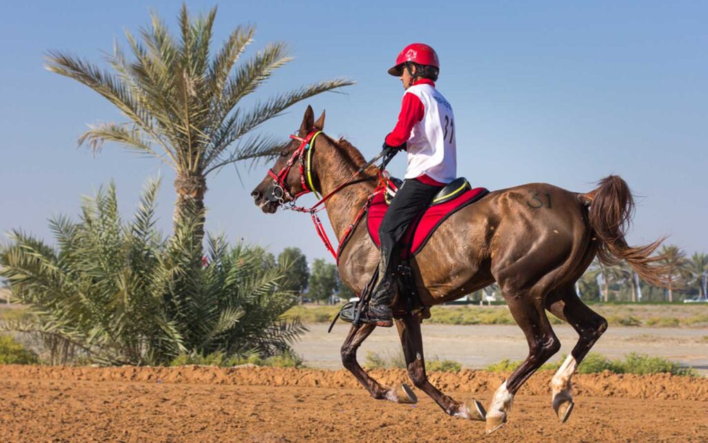 Horse rider