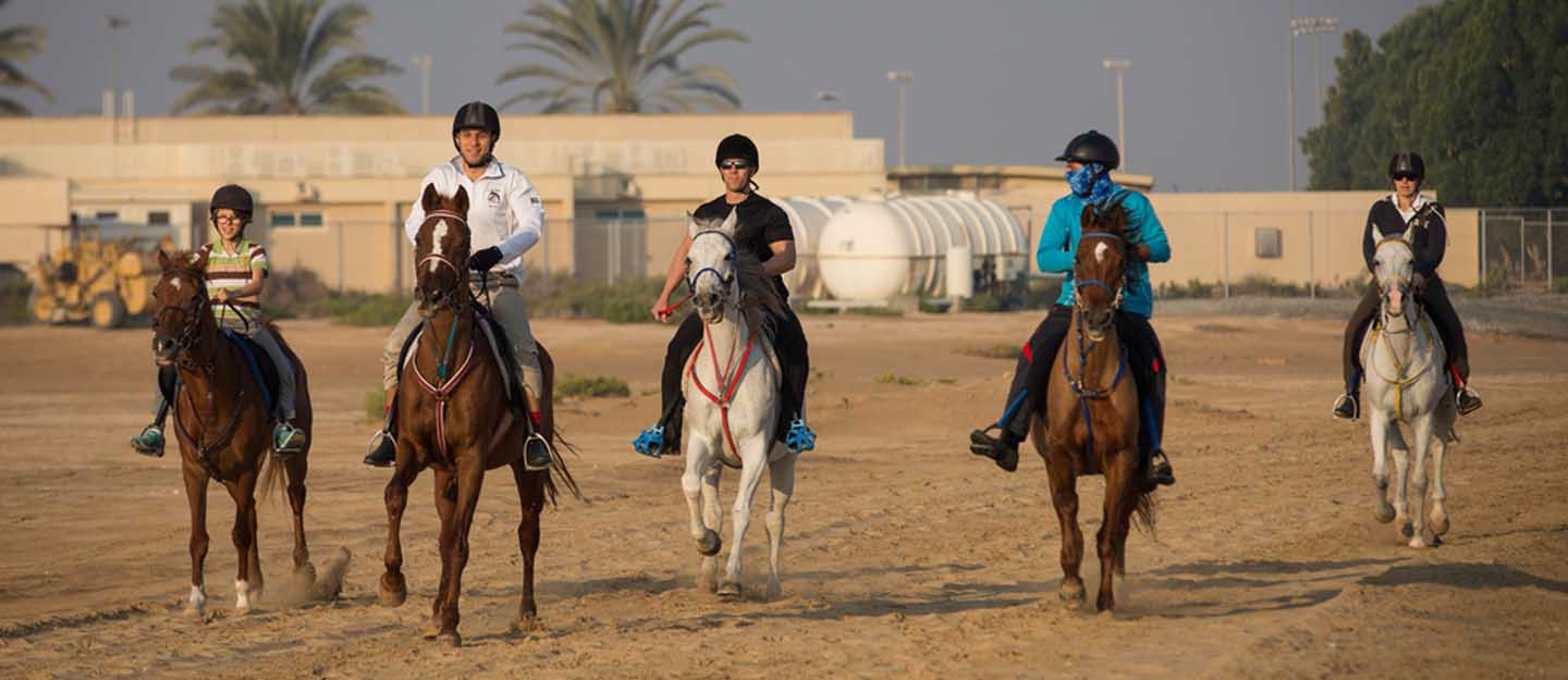 Horse Riding in the UAE Al Habtoor, Royal Stables & More Mybayut