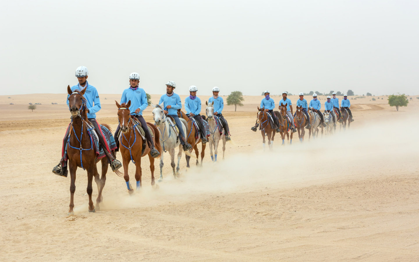 Horse Riding in the UAE Al Habtoor, Royal Stables & More Mybayut