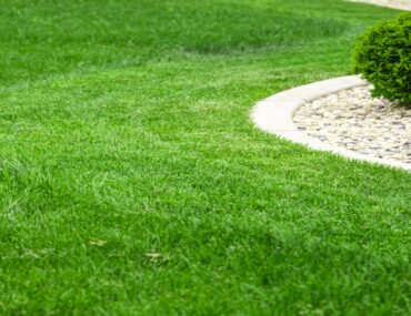 حديقة منزلية