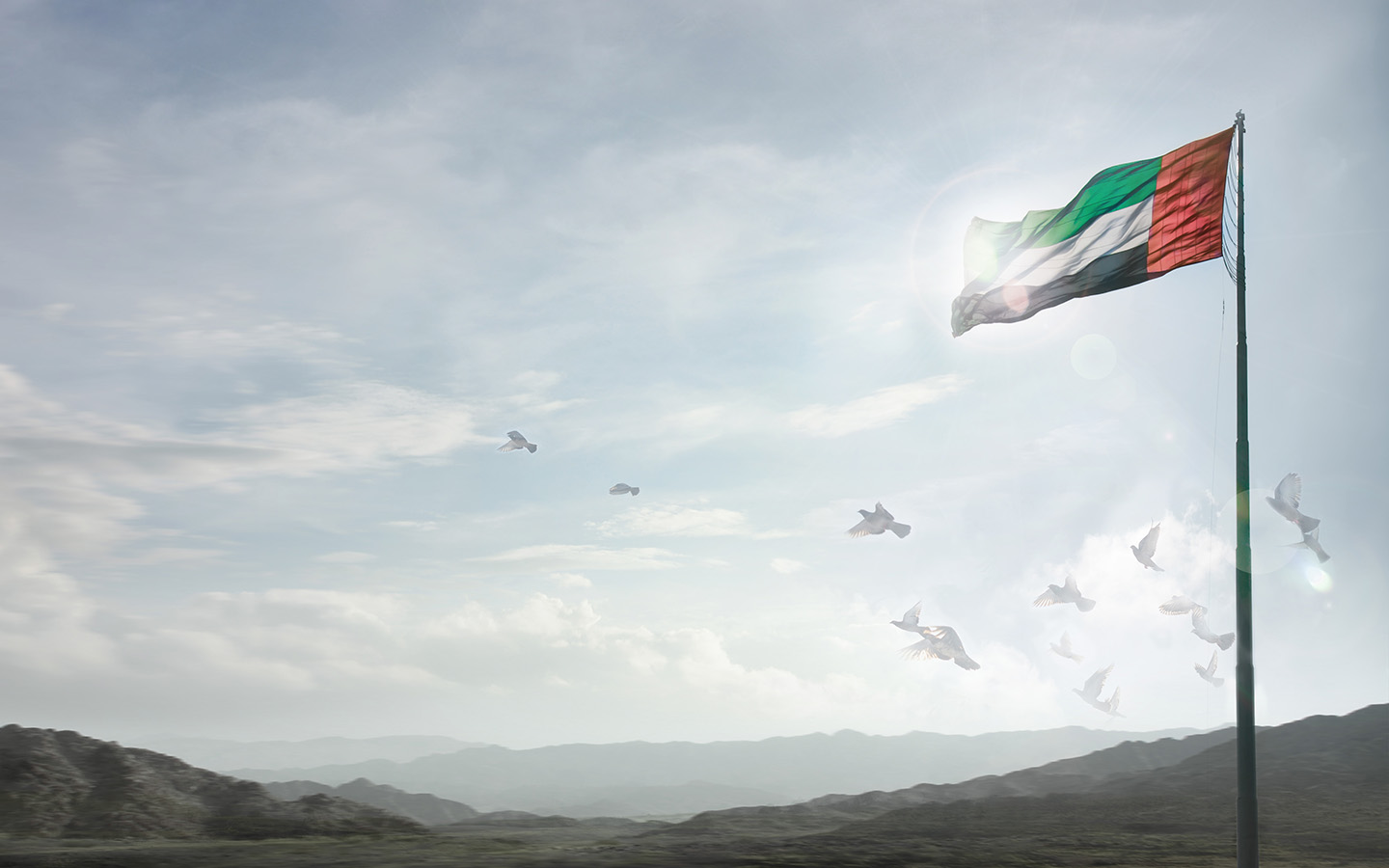 علم الإمارات يرفرف في السماء