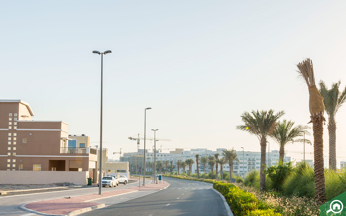 شارع في قرية جميرا الدائرية