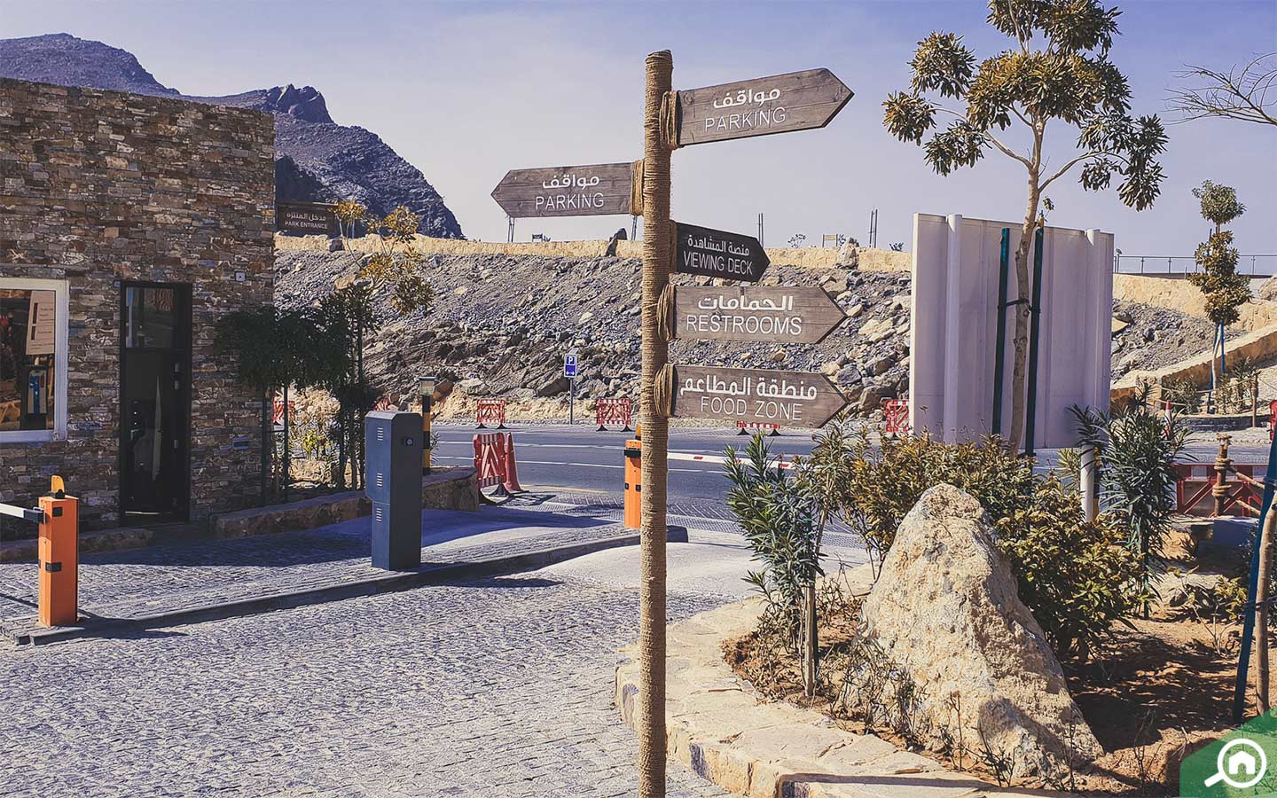 things to do at jebel jais