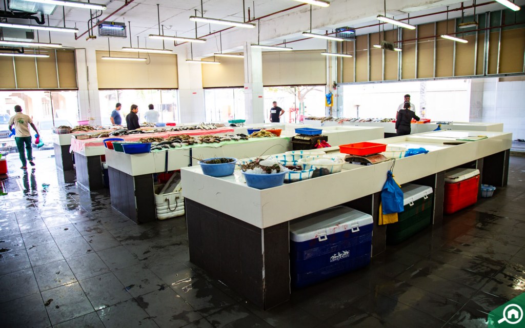 All about Jumeirah Fish Market Timings, Location & more MyBayut