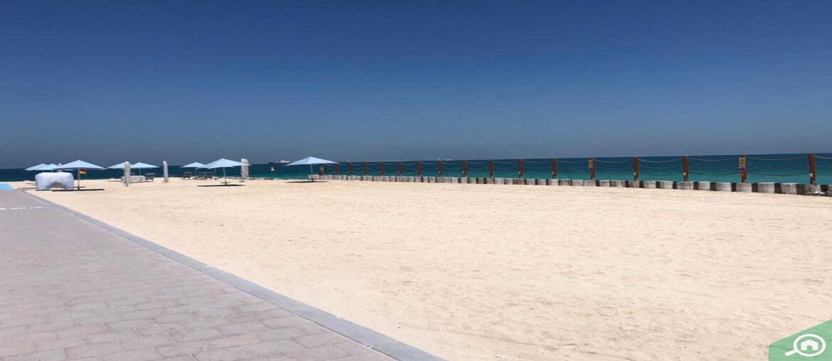 Kite Beach Restaurants Salt, Poker, Dynamite Bites & More MyBayut