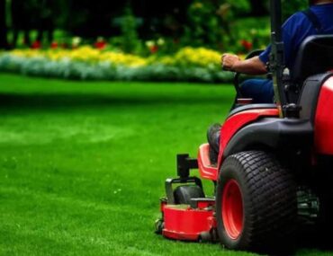 Landscaping Companies in Dubai