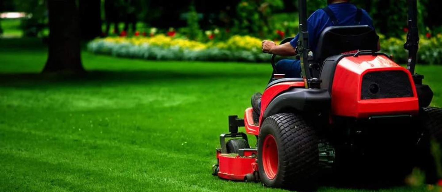 Landscaping Companies in Dubai