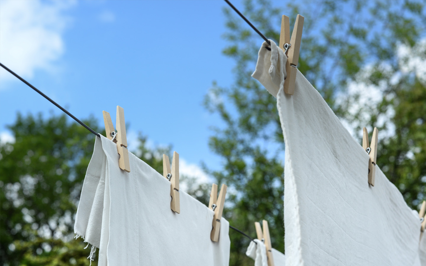 Online Laundry in Abu Dhabi Sketchley, Maqsala & More MyBayut