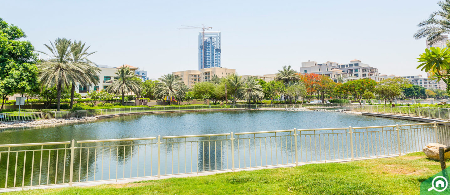 بحيرة ومبان في الروضة دبي