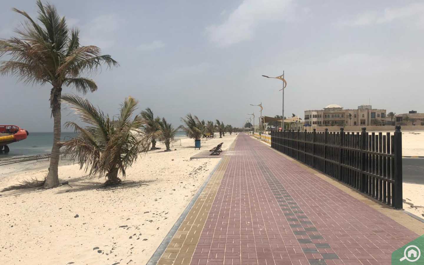 السكن في الروضة ام القيوين