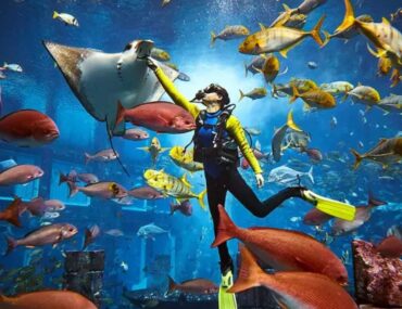 The Lost World Aquarium Dubai