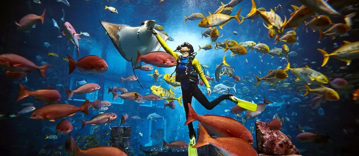 The Lost World Aquarium Dubai