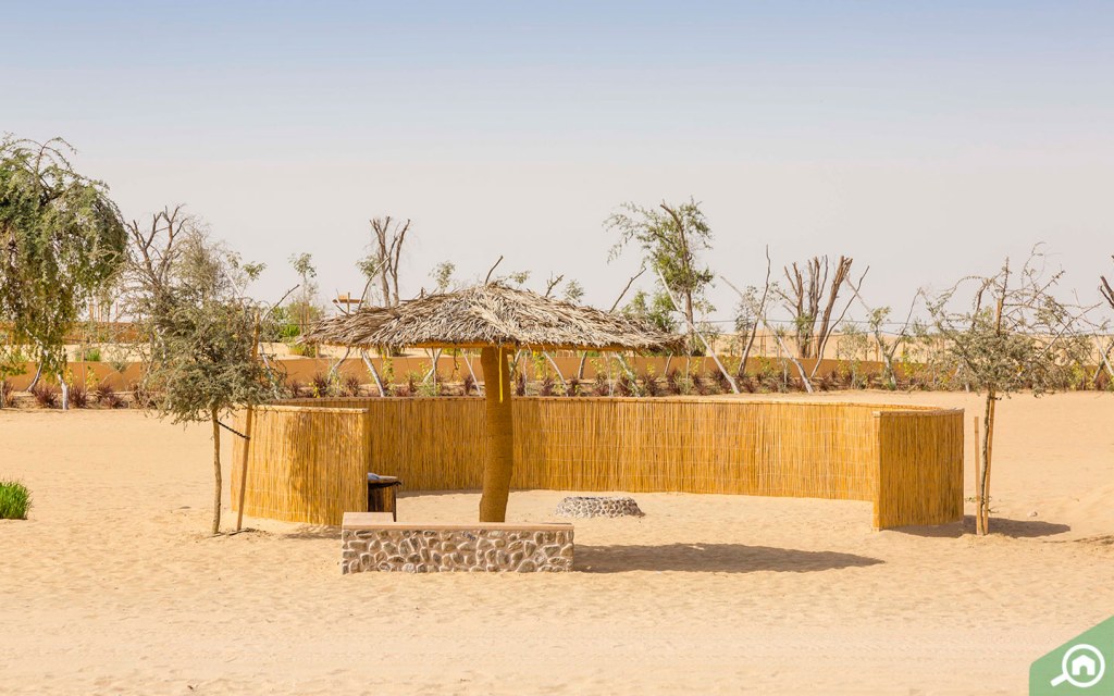 Al Qudra Lake Guide Love Lake, Camping, Locations & More MyBayut