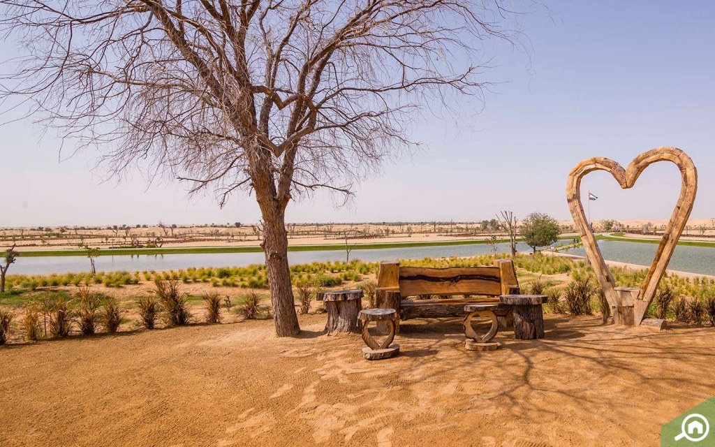 Al Qudra Lake Guide Love Lake, Camping, Locations & More MyBayut