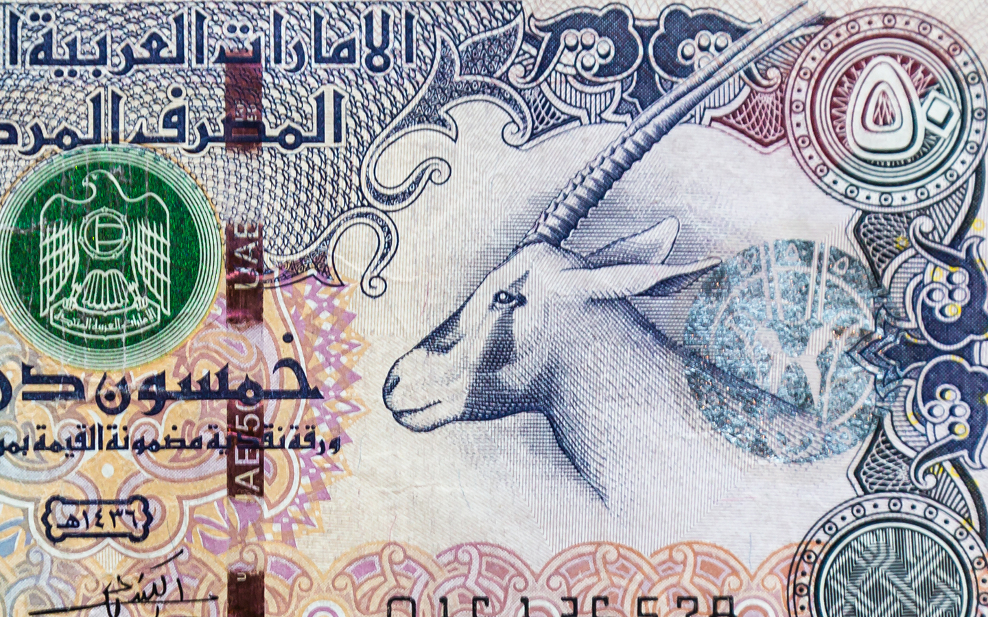 فئة الخمسين درهم