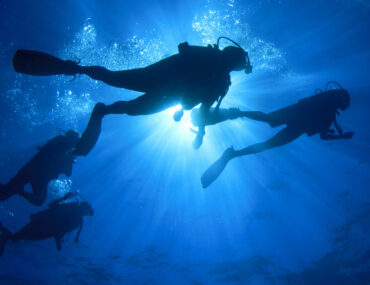 PADI courses in Dubai