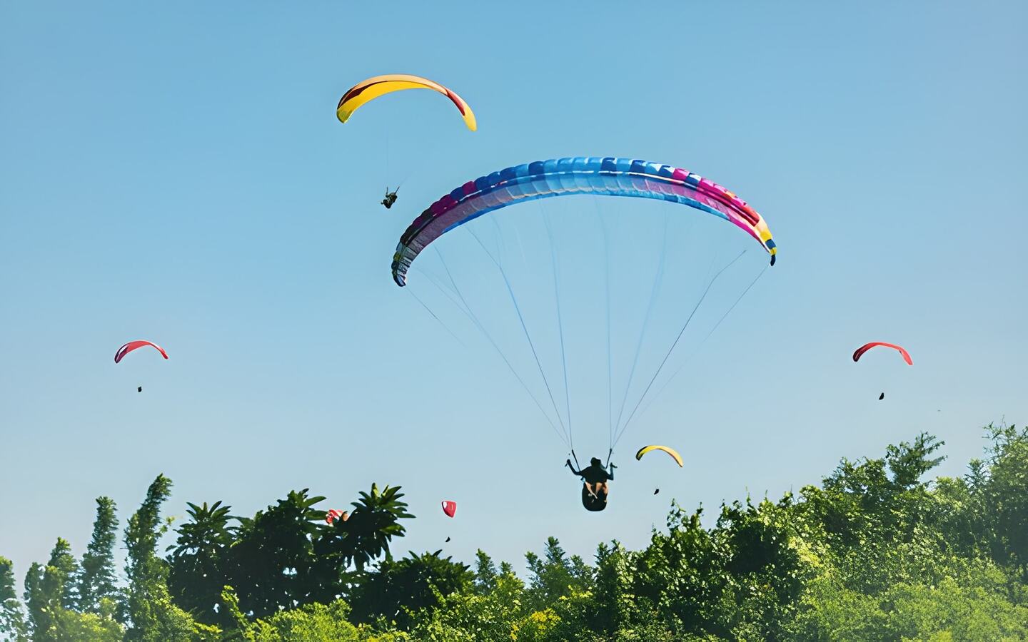 الطيران الشراعي