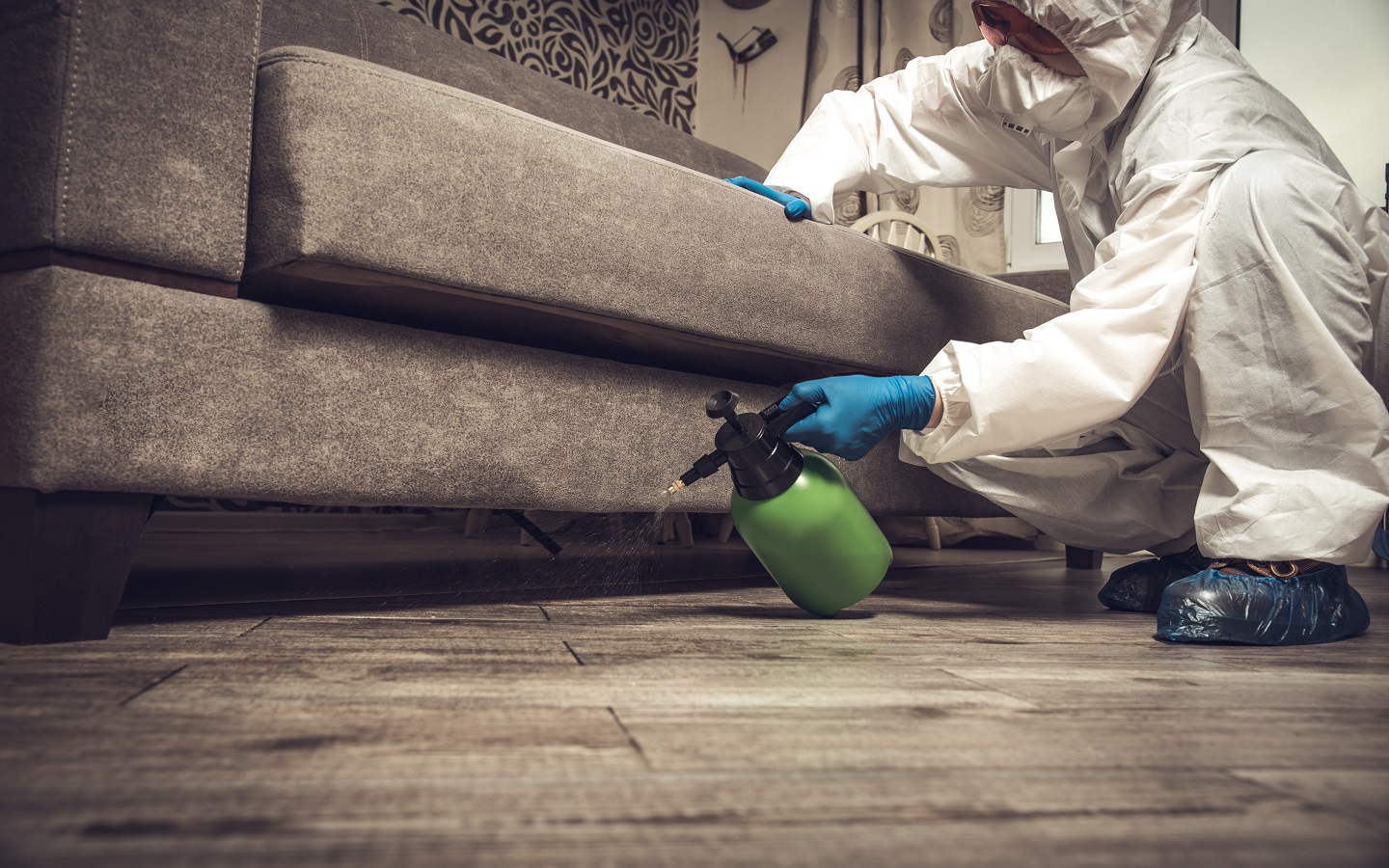 شركات مكافحة الحشرات دبي