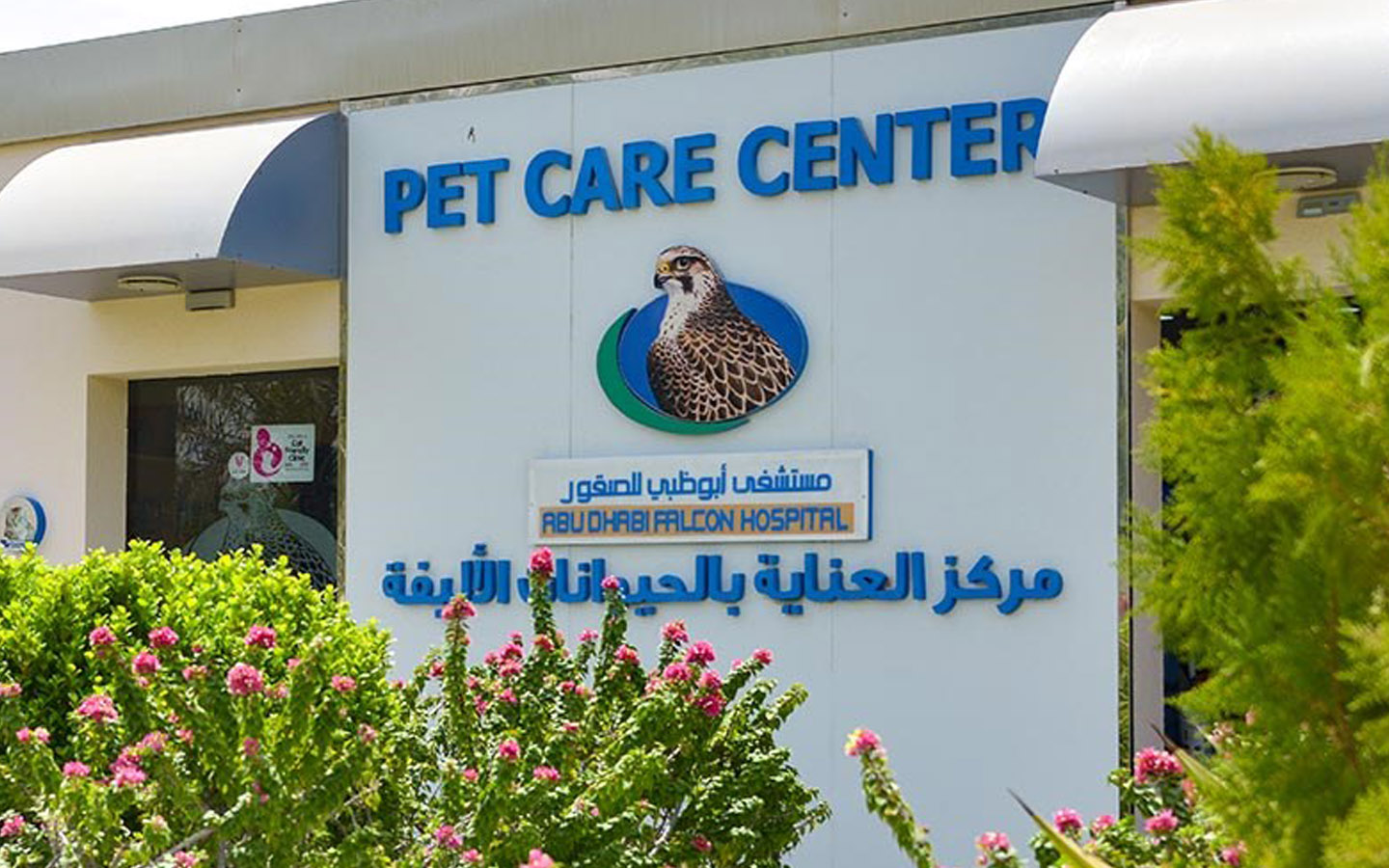 Pet Hotels in Abu Dhabi Cloud9, Falcon Hospital, AVC & More MyBayut