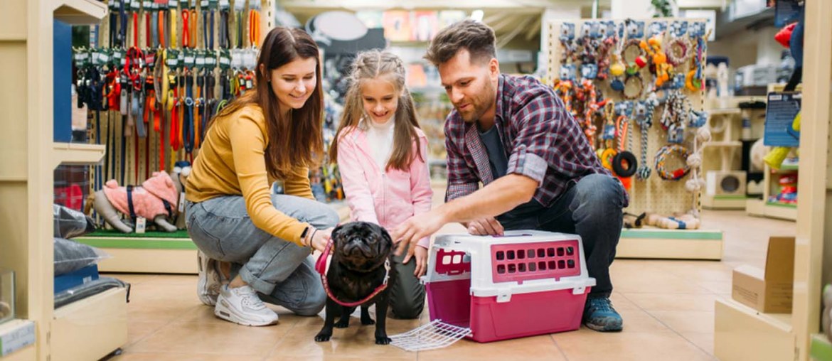 Top pet shops in Abu Dhabi Pet Shack & More MyBayut