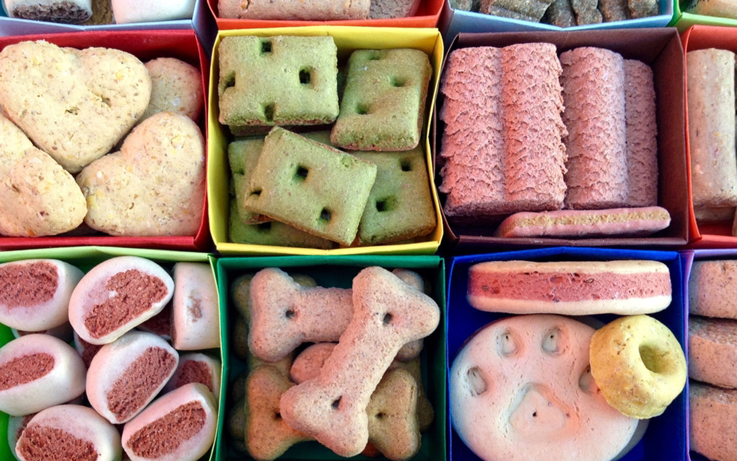 Top Pet Shops in Dubai Pet Corner, Pet Zone & More MyBayut