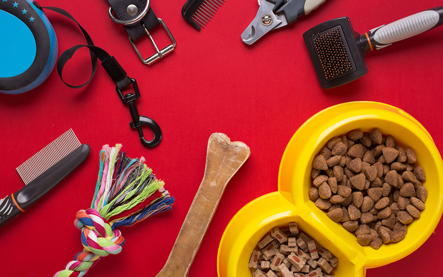 Top Pet Shops in Dubai Pet Corner, Pet Zone & More MyBayut