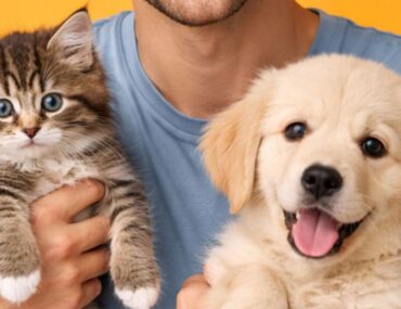 Best Pet Shops in Dubai