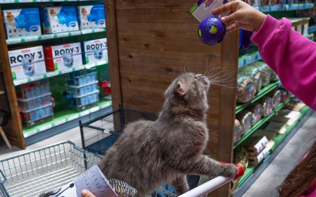 Petzone is one of the top pet stores in dubai