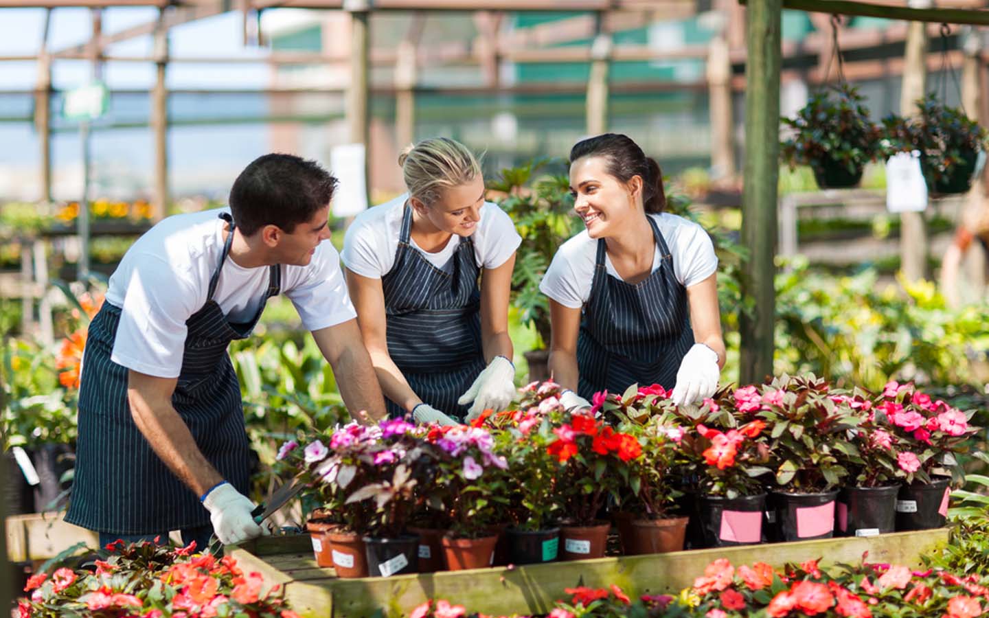 أشخاص يعملون في مشتل النباتات