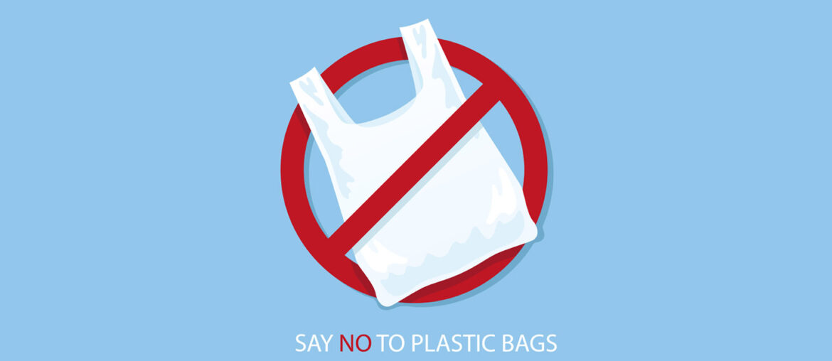 All About the UAE Plastic Bag Ban for 2024 MyBayut