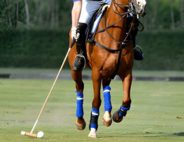 شخص يلعب البولو