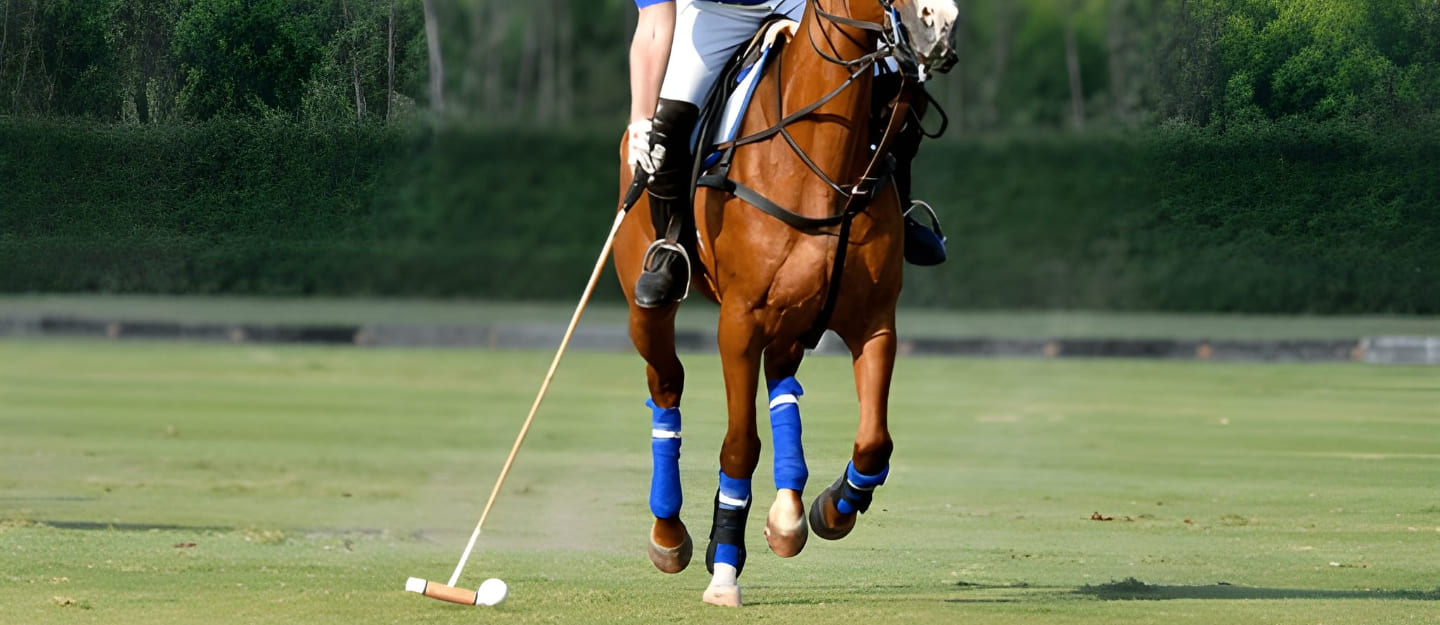 شخص يلعب البولو